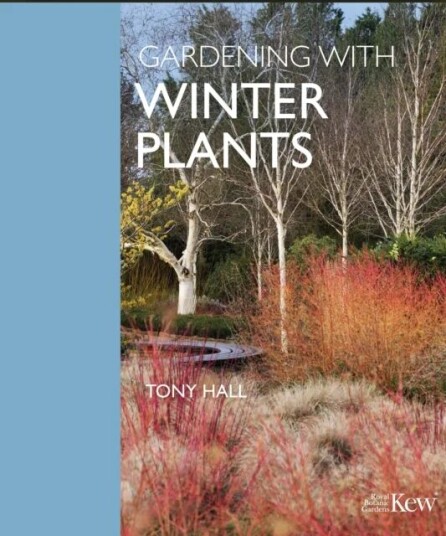 Gardening With Winter Plants Av Tony Hall Gardening With Winter Plants Av Tony Hall