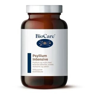 Psyllium Intensive 100g Pulver Psyllium Intensive 100g Pulver