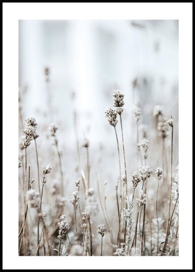 In The Wild Plakat Plakat / 100x150cm