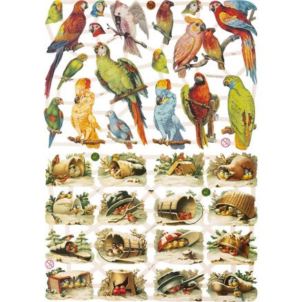 Diverse Blanke bilder fugler ark 16,5x23,5 cm 2 ark 1 pk
