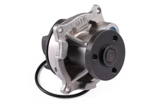 HEPU P236 Vannpumpe HEPU P236 Vannpumpe