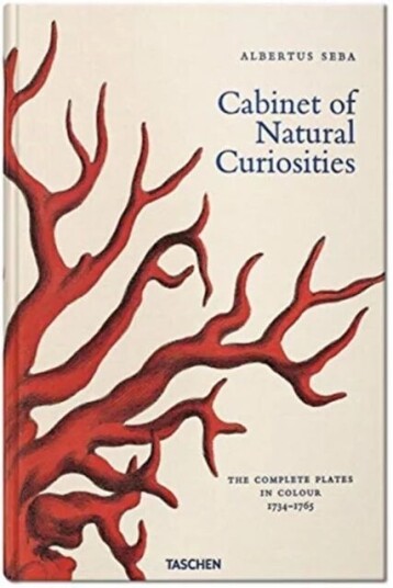 Seba. Cabinet Of Natural Curiosities Av Irmgard Musch, Jes Rust, Rainer Willmann
