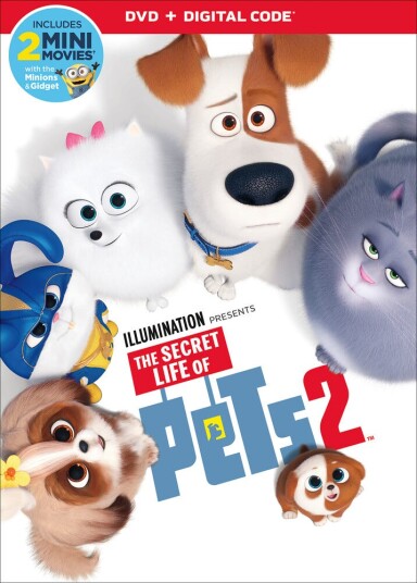 Secret Life Of Pets 2 DVD Secret Life Of Pets 2 DVD