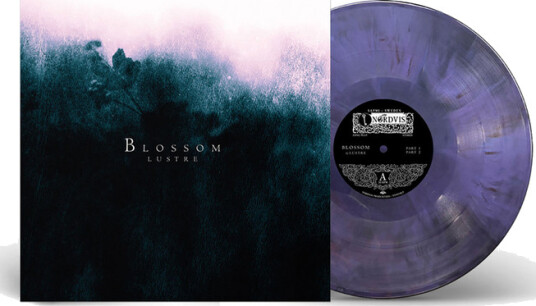 Blossom Blossom