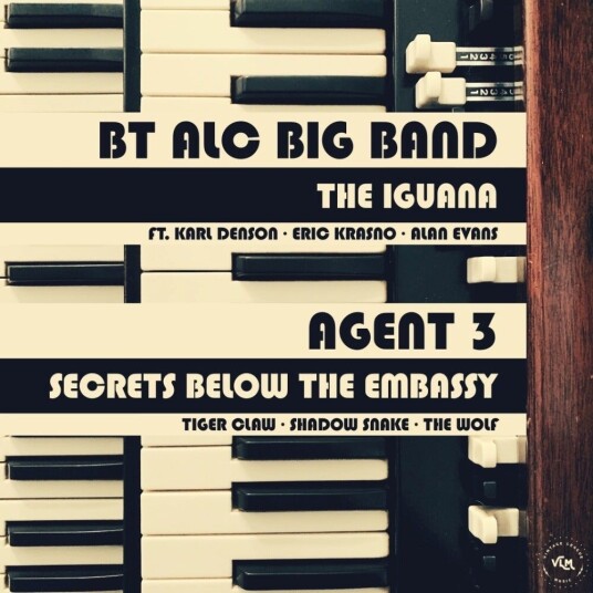 Iguana / Secrets From Below The Embassy