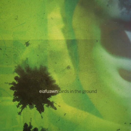 Eiafuawn Birds In The Ground CD