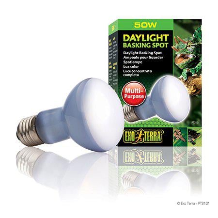 Exoterra Daylight Basking Spot 50W R20 E27 Green (220.2710) Exoterra Daylight Basking Spot 50W R20 E27 Green (220.2710)