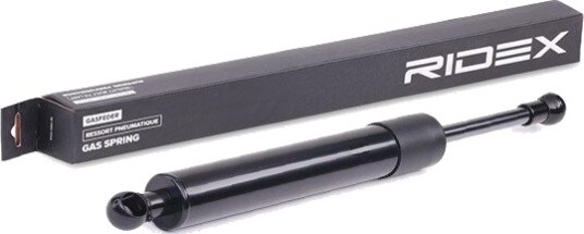 RIDEX 219G0125 Baklukedemper