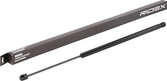 RIDEX 219G0900 Baklukedemper