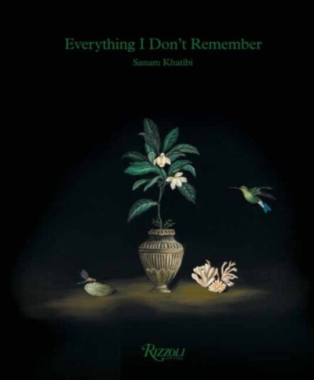 Sanam Khatibi Everything I Dont Remember