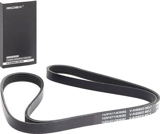 RIDEX 305P0196 Multireim