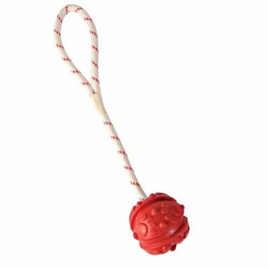 Trixie Flyteleke Ball M/Tau M Trixie Flyteleke Ball M/Tau M