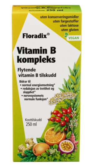 Floradix Vitamin B Complex Floradix Vitamin B Complex