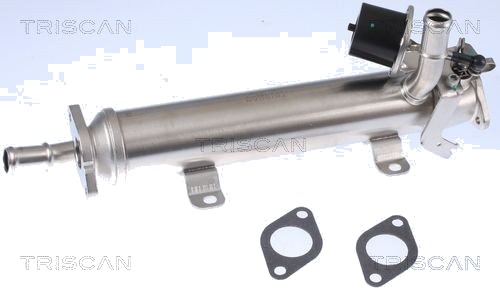 EGR-kjøler TRISCAN 8813 29322