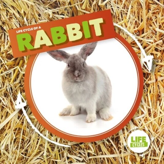 Rabbit Av Kirsty Holmes