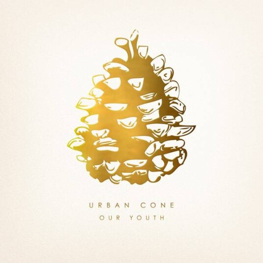 Urban Cone Our Youth Vinyl 2lp