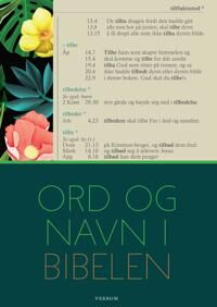 Ord Og Navn I Bibelen Av Ingvild Røsok, Steinar Skarpnes