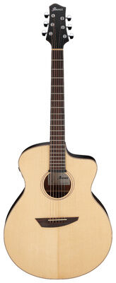 Ibanez PA300E-NSL