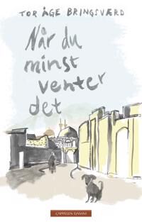 Når Du Minst Venter Det Av Tor Åge Bringsværd