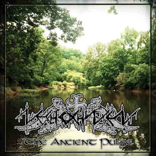 Nechochwen The Ancient Pulse CD Nechochwen The Ancient Pulse CD