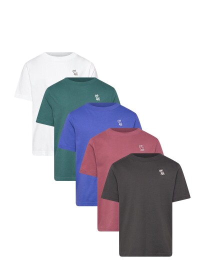 Abercrombie Kids Ty 5Pk Tees Multi/patterned 128/147