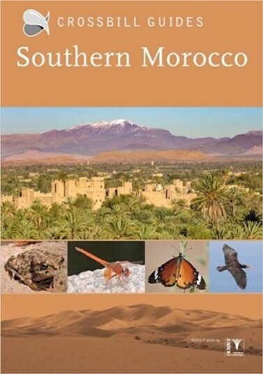 Southern Morocco Av Martin Pitt Southern Morocco Av Martin Pitt