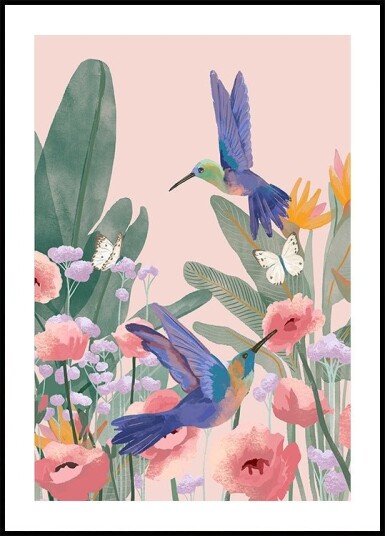 Hummingbirds Plakat Plakat / 30x40cm