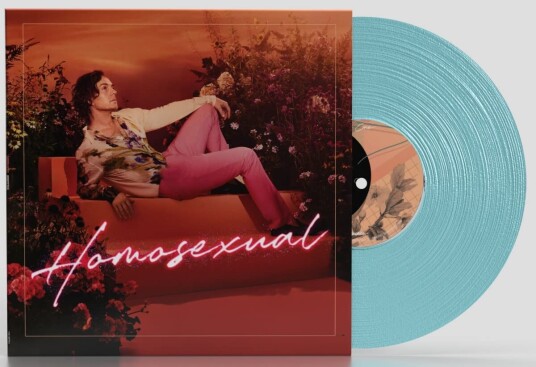 Darren Hayes  Homosexual  LP/Vinyl