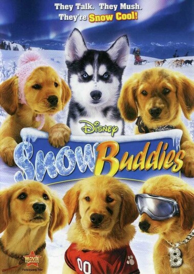 Snow Buddies DVD
