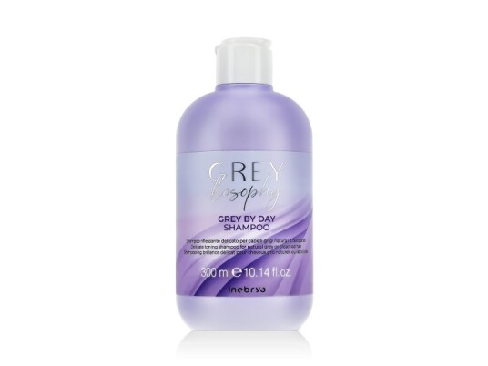 Inebrya Greylosophy Grey By Day Shampoo 300 Ml