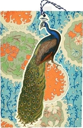 B6 Carnet Og Tag Med Konvolutt Peacock B6 Carnet Og Tag Med Konvolutt Peacock