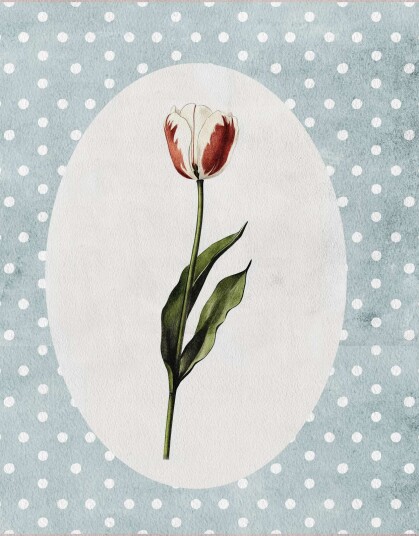 Plakat Tulipan på prikket bakgrunn Plakat Tulipan på prikket bakgrunn