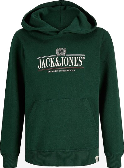 Jack & Jones Hettegenser Jorfrederiksberg Graphic Box Sh Jnr Grønn