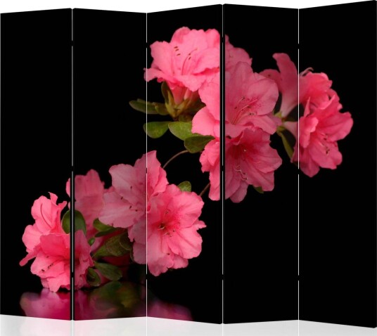 Romdeler Azalea in Black II - Artgeist sp. z o. o.