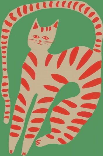 Plakat   Rød Katt