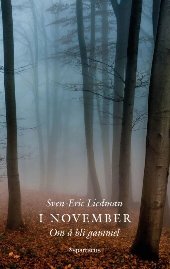 I November Av Sven-Eric Liedman