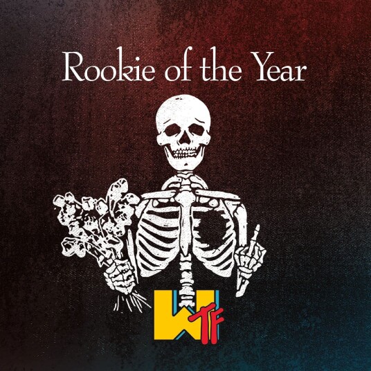 Rookie Of The Year WTF LP/Vinyl Rookie Of The Year WTF LP/Vinyl