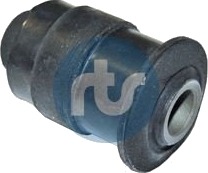 RTS 017 00125 Feste styrestag