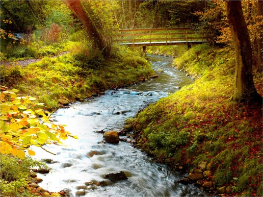 Fototapet Brook Sunrise 200x154 - Artgeist sp. z o. o.