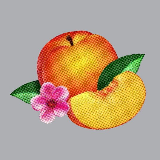 Phoenix Bankrupt! LP/Vinyl