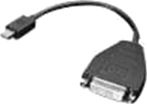 Lenovo Mini DisplayPort til DVI-D Adapter 20 cm Svart