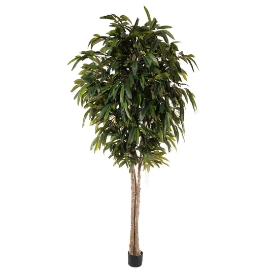 Mr Plant Longifolia Tre 320 cm Mr Plant Longifolia Tre 320 cm