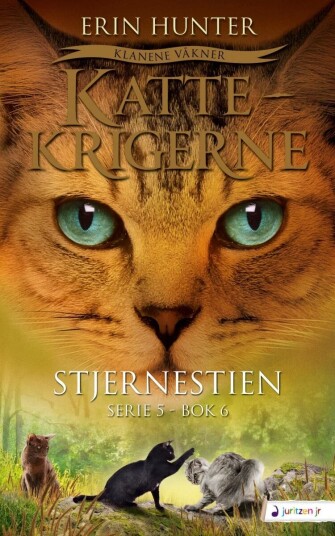 Stjernestien Av Erin Hunter