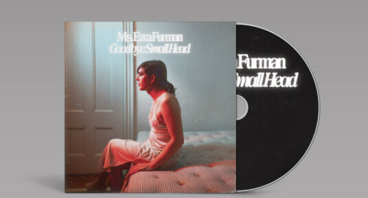 Ezra Furman Goodbye Small Head CD