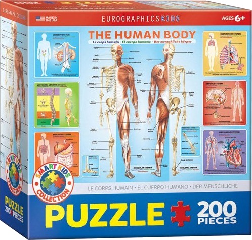 eurographics Puslespill Kroppen 200 brikker