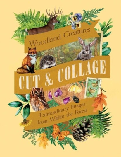 Cut & Collage Woodland Creatures Cut & Collage Woodland Creatures