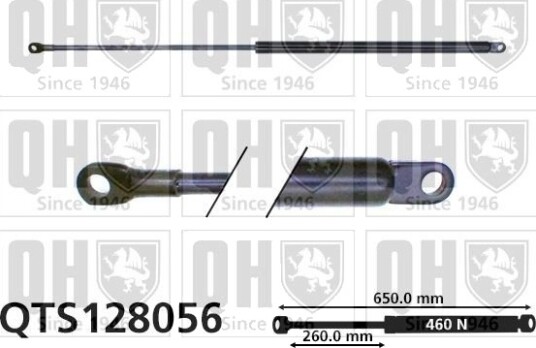 QUINTON HAZELL QTS128056 Baklukedemper