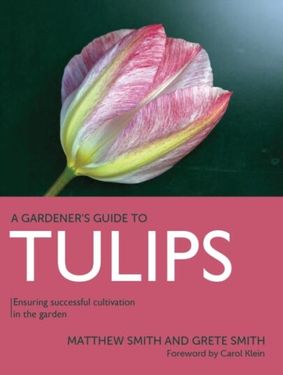 Tulips  Ensuring Successful Cultivation in the Garden
