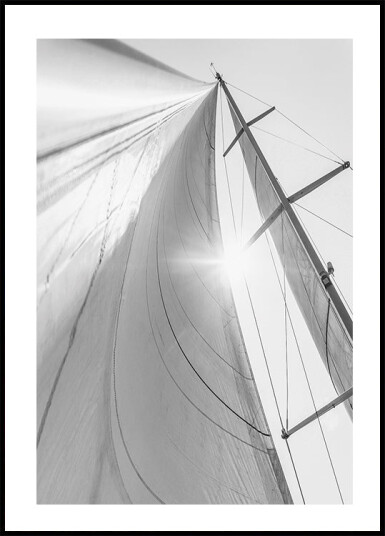 Sail In Sunlight Plakat Plakat / 70x100cm