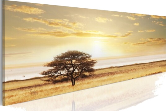 Tavla Lonely Tree On Savannah 135x45 cm